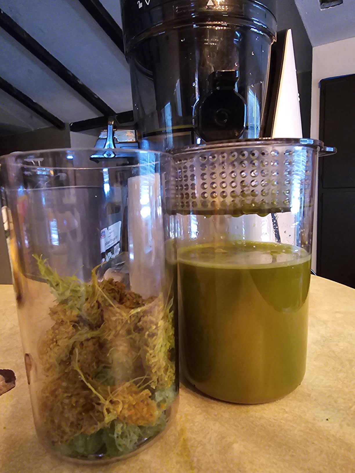 EanOruus Juicer Machines, 3-in-1 Cold Press Juicer with 6.5