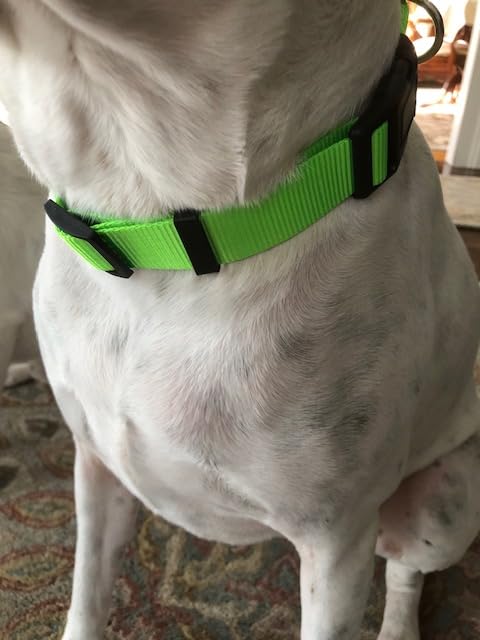 Wireless Dog Fence, GPS Dog Collar Fence System with Real-Time Tracking & Training, Portable Dog Electric Fence for Outdoor Use, Rechargeable Waterproof Collar customer photo 2