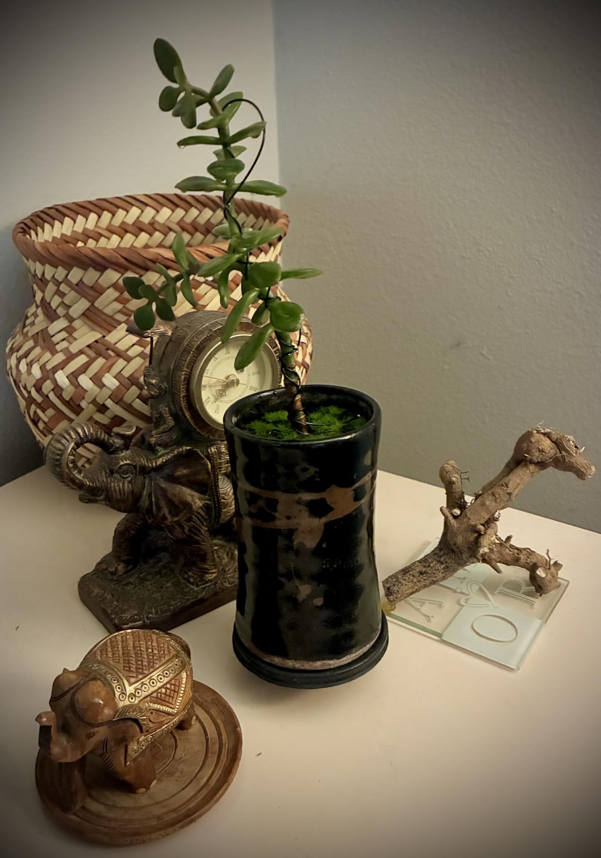 6 Roll Bonsai Wire Kit with Cutter, Total 160 Feet Aluminum Bonsai Training Wire in 4 Sizes (1.0, 1.5, 2.0, 2.5mm) customer photo 2