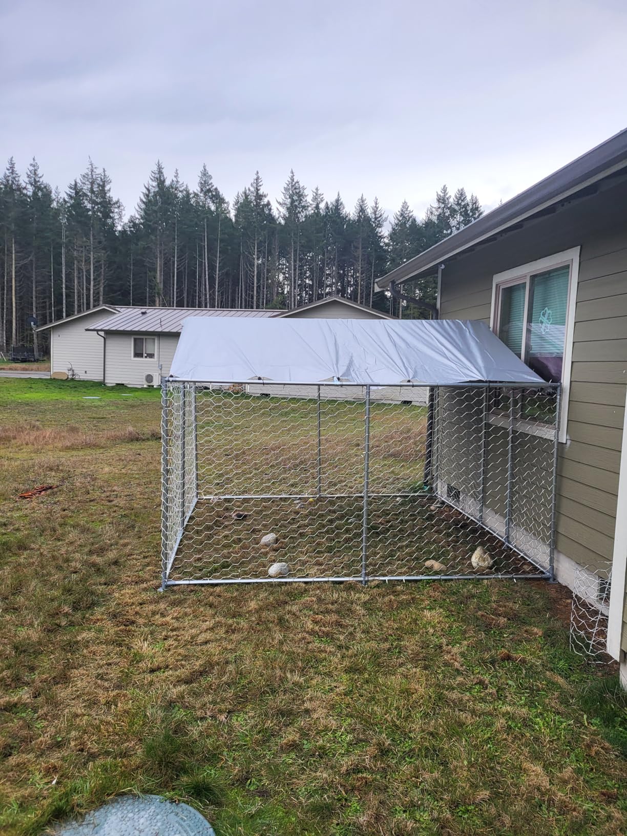 7.8'x7.8' Outdoor Dog Kennel, Heavy-Duty Dog Enclosure with Wire Mesh Fence, Lock & Waterproof Cover for Large Dogs customer photo 1