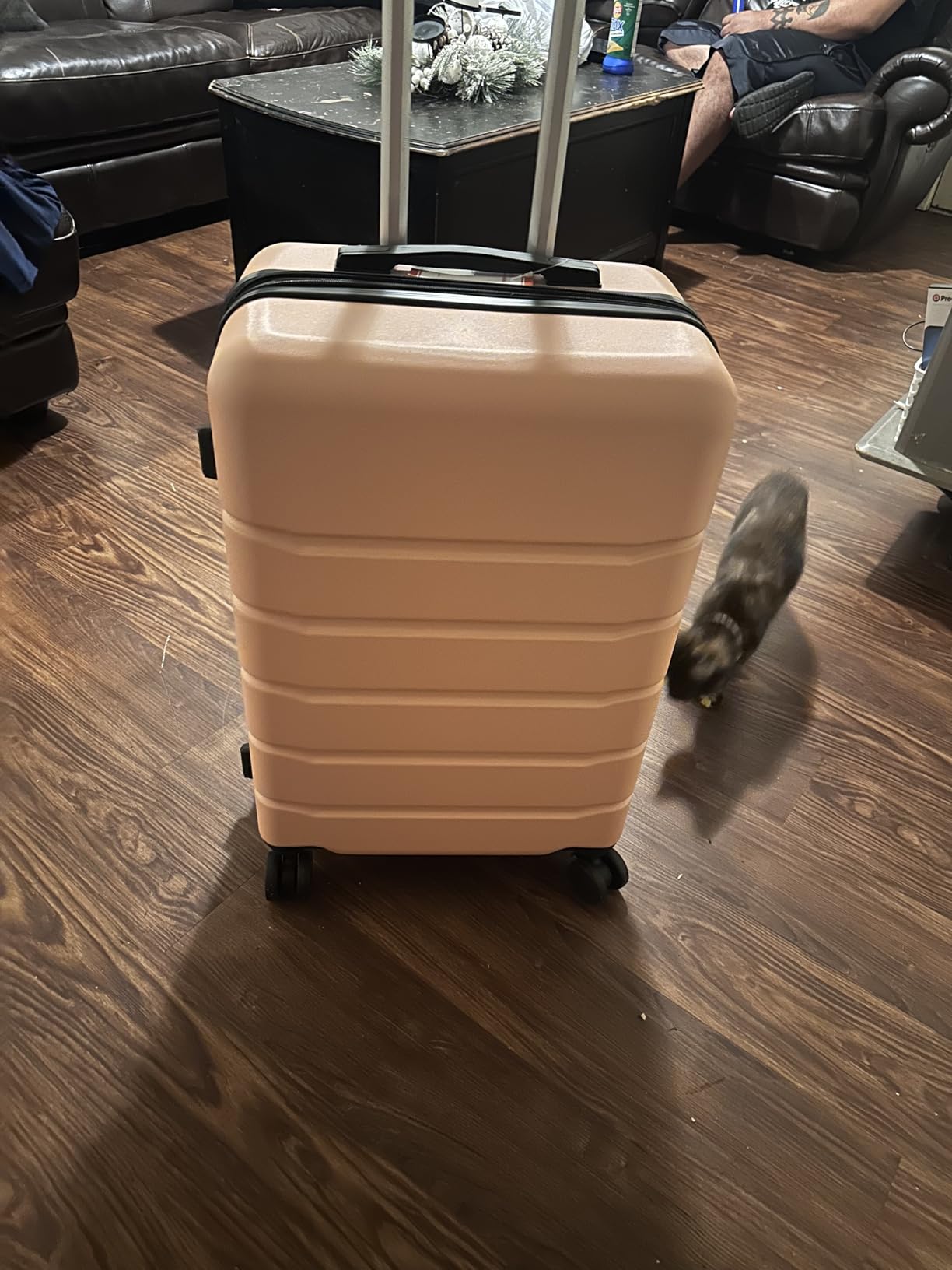 OLIXIS 3-Piece Suitcase Set, Hardside Luggages with Spinner Wheels, Lightweight ABS Hard Shell Travel Luggage, Expandable Carry-On Suitcase with TSA Approved Lock - Pink (20+24+28 Inch) customer photo 2