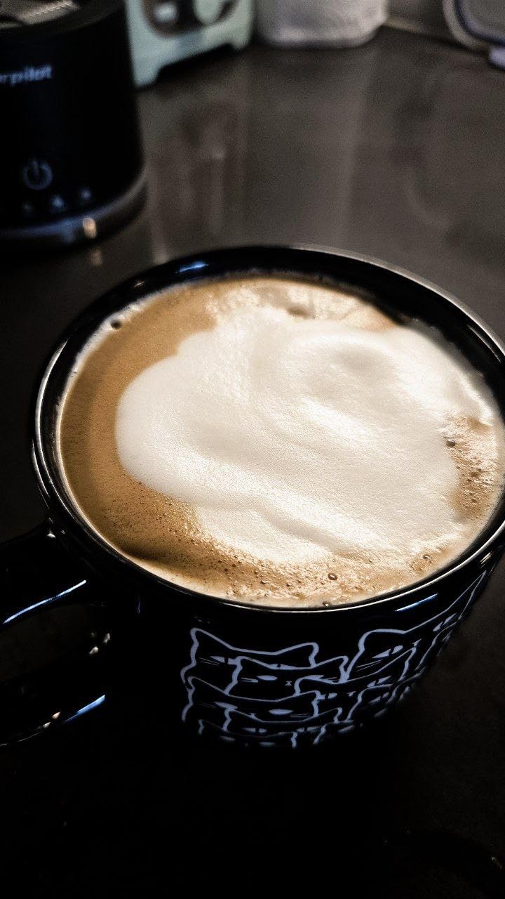 Large Electric Milk Frother and Steamer, 16.9oz/500ml Milk Steamer and Frother for Latte or Hot Chocolate, Dishwasher Safe, BPA Free, 6 Functions, Enjoy Perfect Milk Froth in 2 Min customer photo 1
