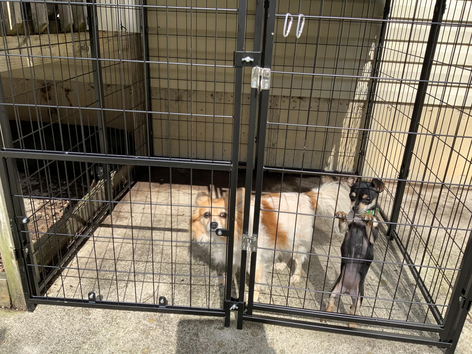 Sino Luban 4x4x4.6FT Dog Kennel Outdoor, Dog Run Enclosure Outside Dog Kennel with Roof, Heavy Duty Outdoor Kennel Pen with Removable Small Door & Secure Lock for Medium/Small Dogs customer photo 1