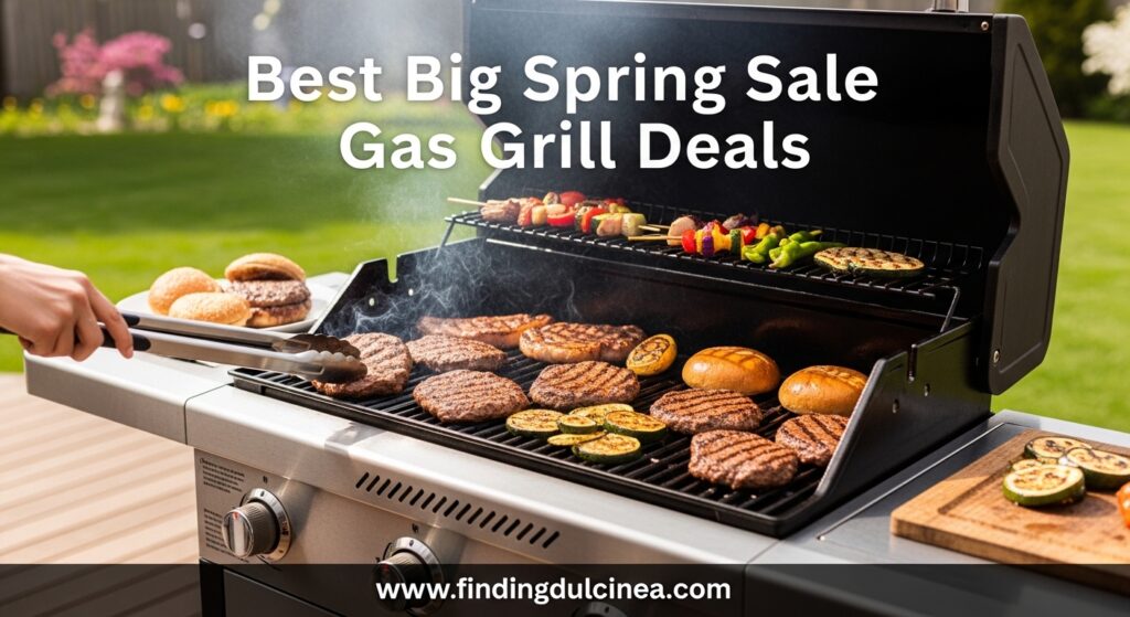 The current image has no alternative text. The file name is: Best-Big-Spring-Sale-Gas-Grill-Deals.jpg