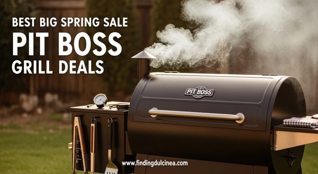 Current image: Best Big Spring Sale Pit Boss Grill Deals