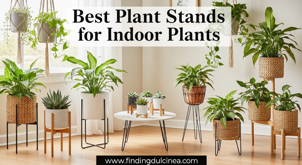 Current image: Best Plant Stands for Indoor Plants