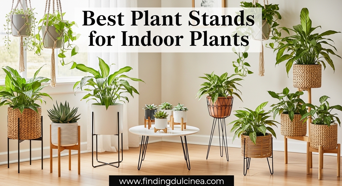 Best Plant Stands for Indoor Plants