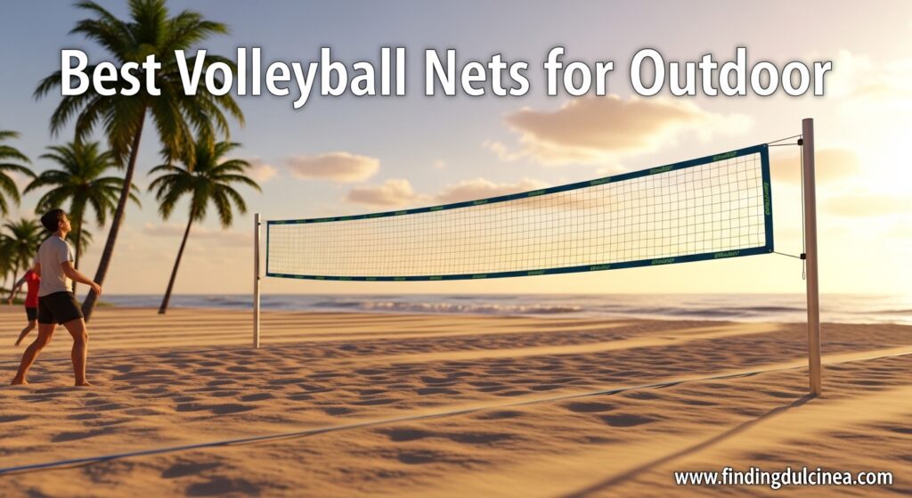Current image: Best Volleyball Nets for Outdoor