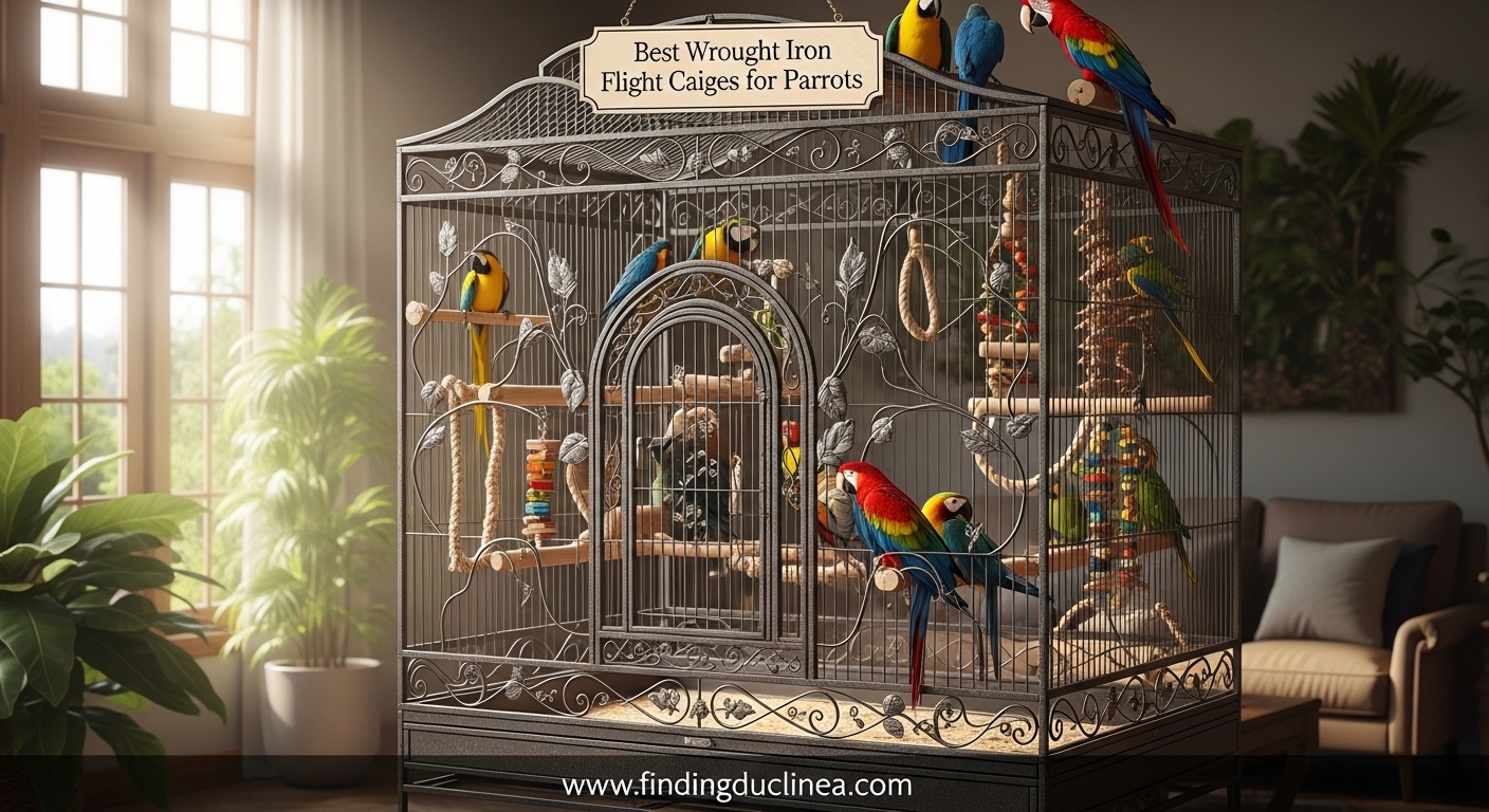Best Wrought Iron Flight Cages for Parrots