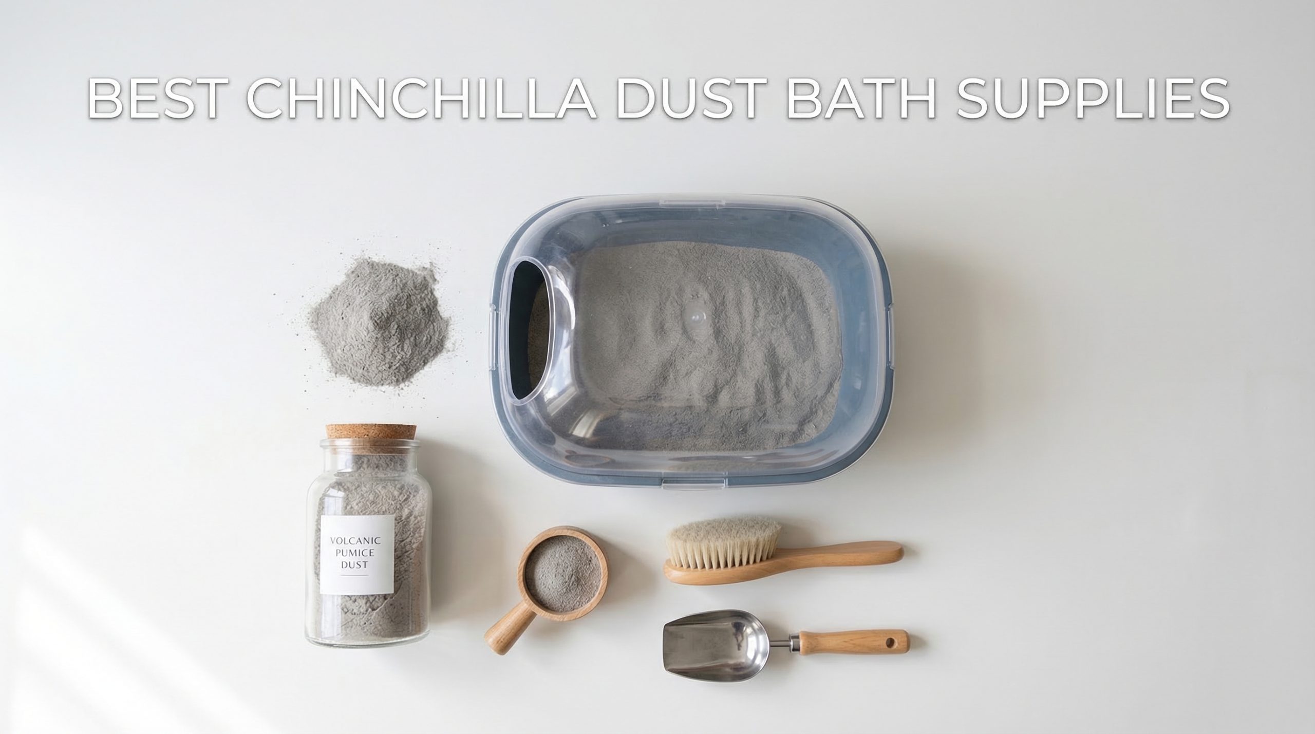 Best Chinchilla Dust Bath Supplies