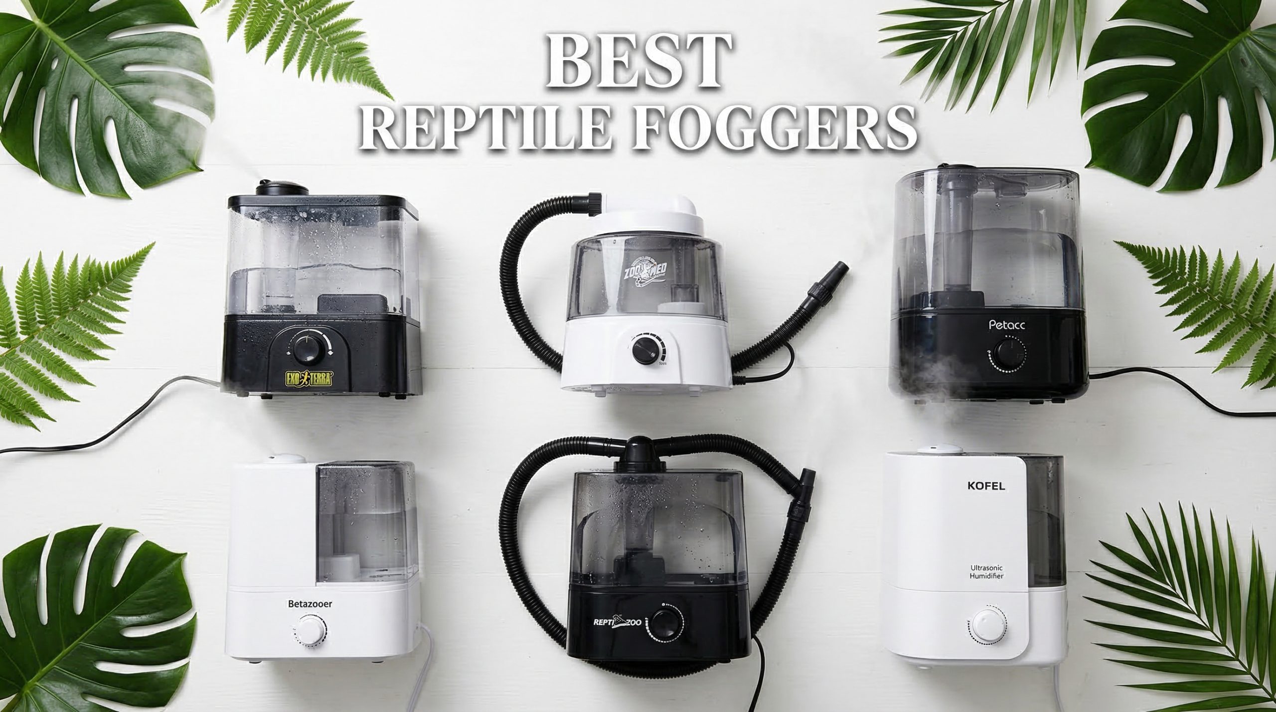 Best Reptile Foggers for Humidity Control