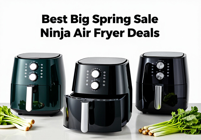 Best Big Spring Sale Ninja Air Fryer Deals on Amazon