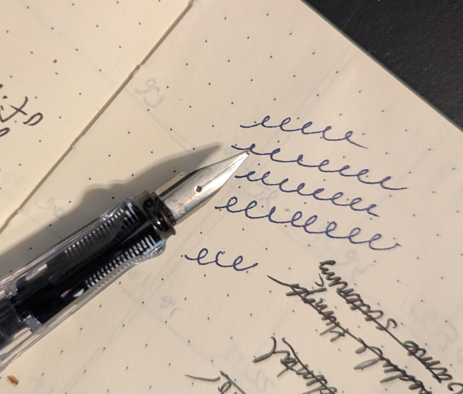 LAMY Transparent Vista Fountain Pen with Medium Nib and Blue Ink (L12M) customer photo 2