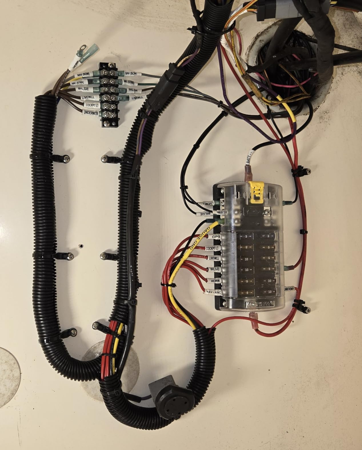 Blue Sea Systems ST Blade Fuse Block 12 Circuit with Ground and Cover, 100 Amps customer photo 1