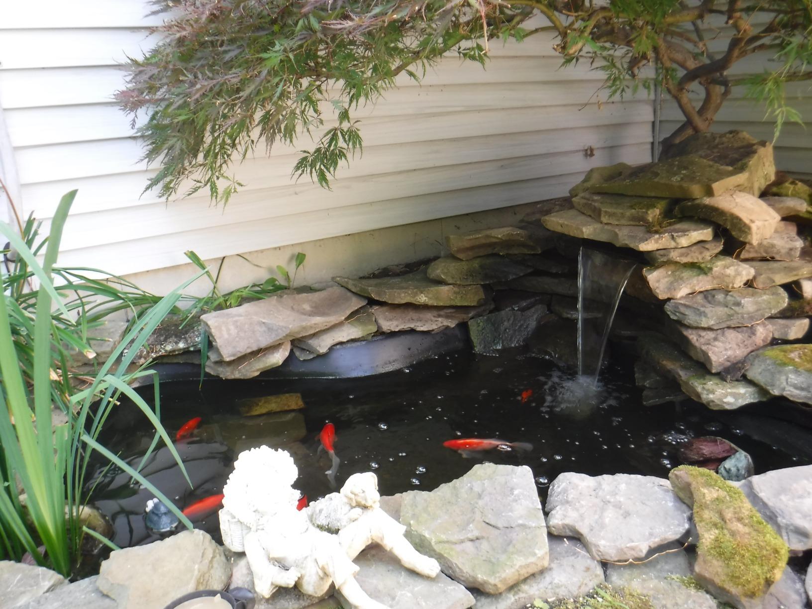 TetraPond Water Garden Pump, Powers Waterfalls/Filters/Fountain Heads customer photo 1