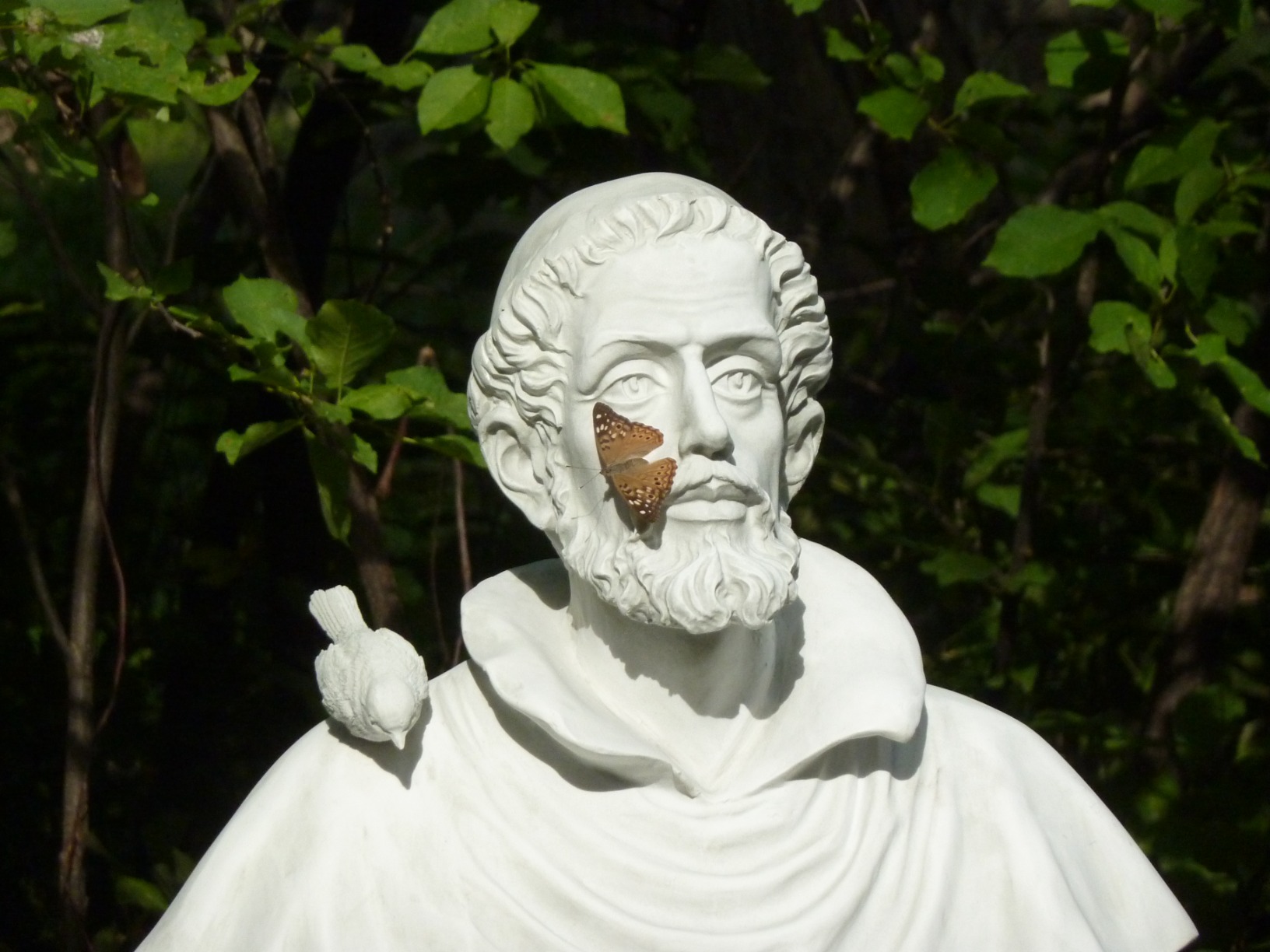 Design Toscano Francis of Assisi, Patron of Animals Religious Garden Decor Statue, 37 inches Tall, Cast Stone Resin, Antique Stone Finish customer photo 2