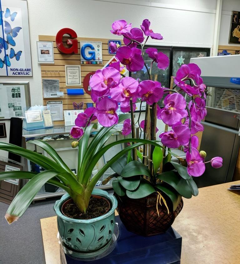 Nearly Natural Phalaenopsis with Decorative Vase Silk Flower Arrangement customer photo 1
