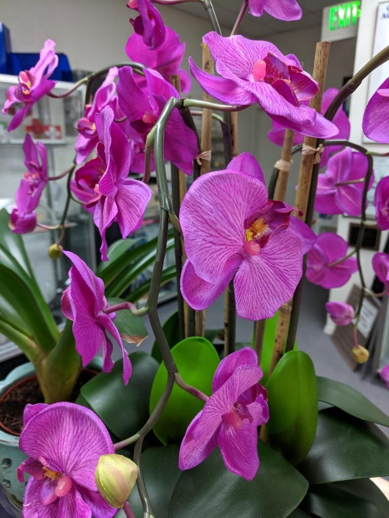 Nearly Natural Phalaenopsis with Decorative Vase Silk Flower Arrangement customer photo 2