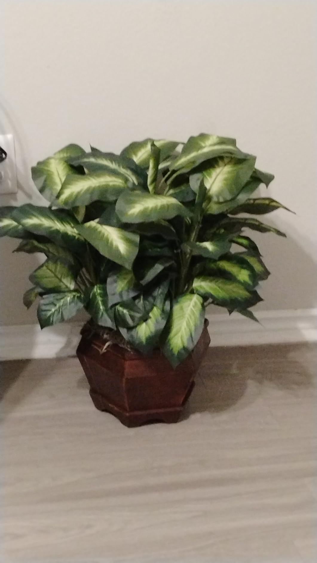 Nearly Natural 24in Dieffenbachia Artificial Plant, Faux Greenery with Decorative Planter for Indoor Home Office Decor, Low Maintenance customer photo 1