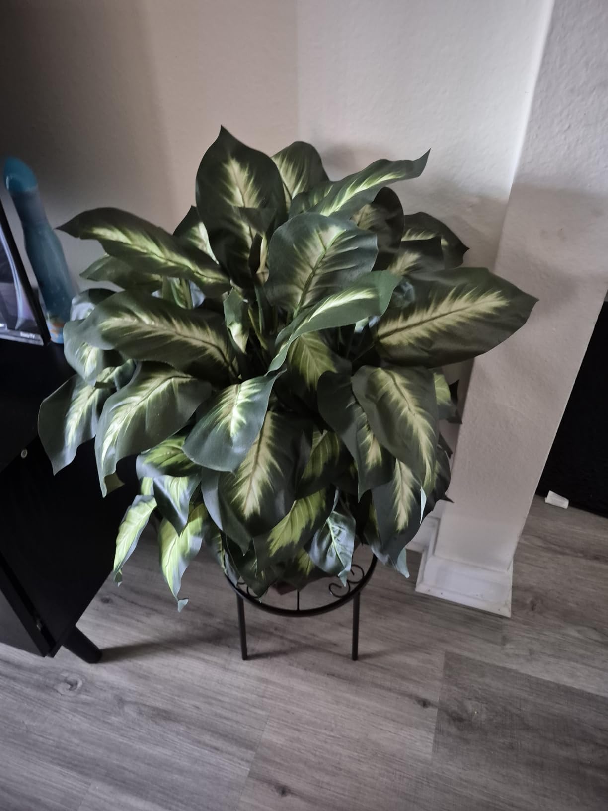 Nearly Natural 24in Dieffenbachia Artificial Plant, Faux Greenery with Decorative Planter for Indoor Home Office Decor, Low Maintenance customer photo 2