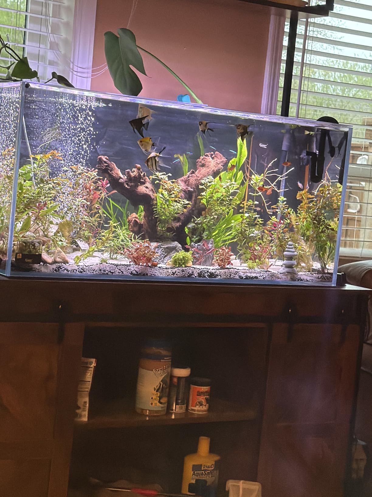 LANDEN 90P 44 Gallon Rimless Low Iron Aquarium Tank, W35.4 x D17.7 × H17.7in customer photo 1