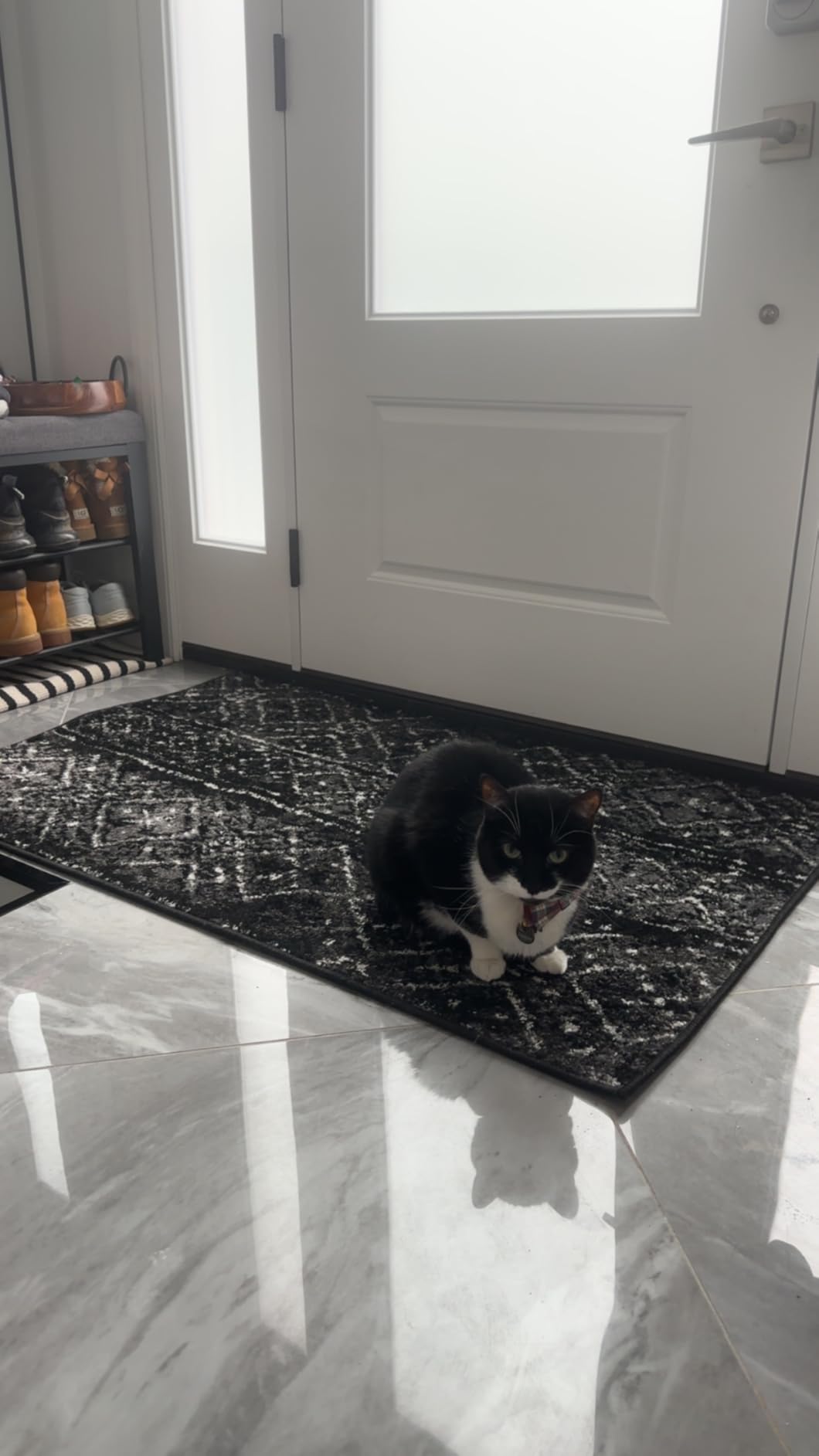 SAFAVIEH Adirondack Collection Area Rug - 9' x 12', Black & Silver, Moroccan Boho Distressed Design, Non-Shedding & Easy Care (ADR111C) customer photo 1