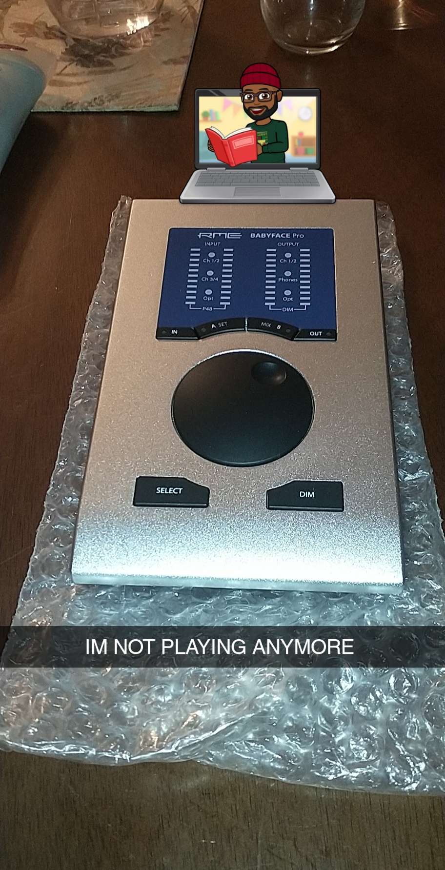 RME Babyface Pro USB Audio Interface customer photo 1