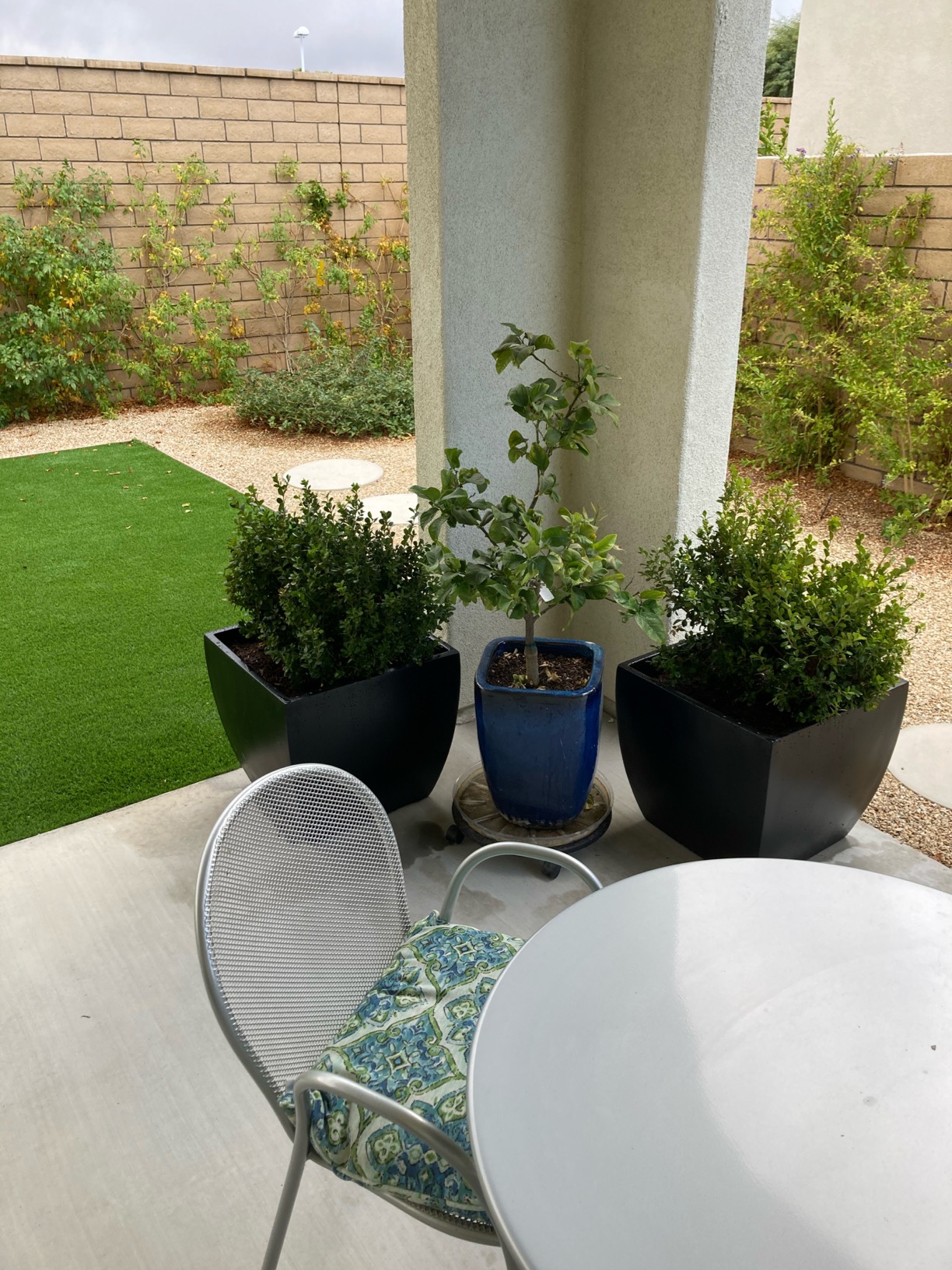 Pacifica Square Curved Fiberglass Planter, Black, 20 Inch customer photo 1