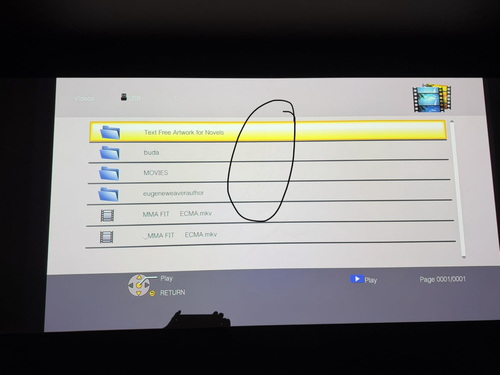 Elite Screens Aeon Series 125-Inch Projector Screen, 2.35:1 8K/4K Ultra HD Ready, Edge-Free Fixed Frame with ISF-Certified CineWhite UHD-B Projection Material for Home Theater, AR125WH2-WIDE customer photo 2