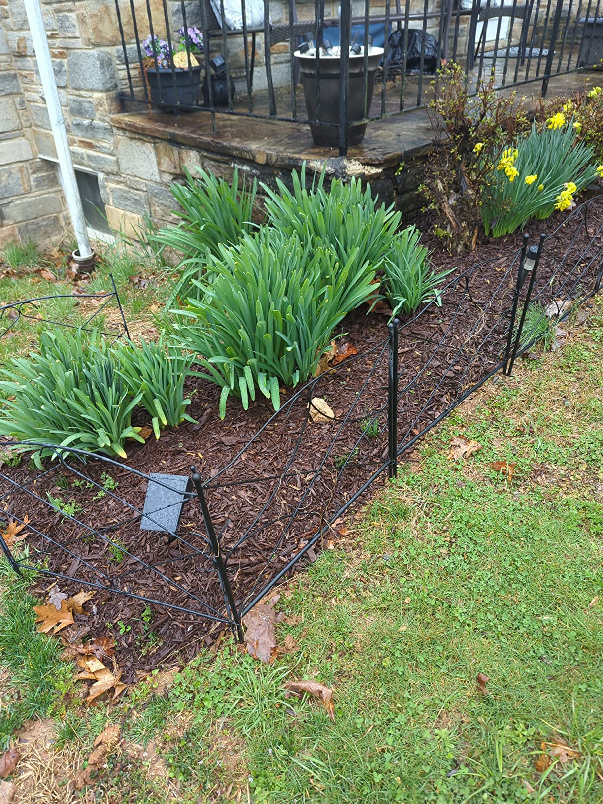 AMAGABELI 10 Panels 22in(H)×10ft(L) Decorative Garden Fences and Borders for Dogs No Dig Rustproof Metal Fence Panels Garden Edging Border Animal Barrier Fencing for Flower Beds Yard Patio Decor Black customer photo 2