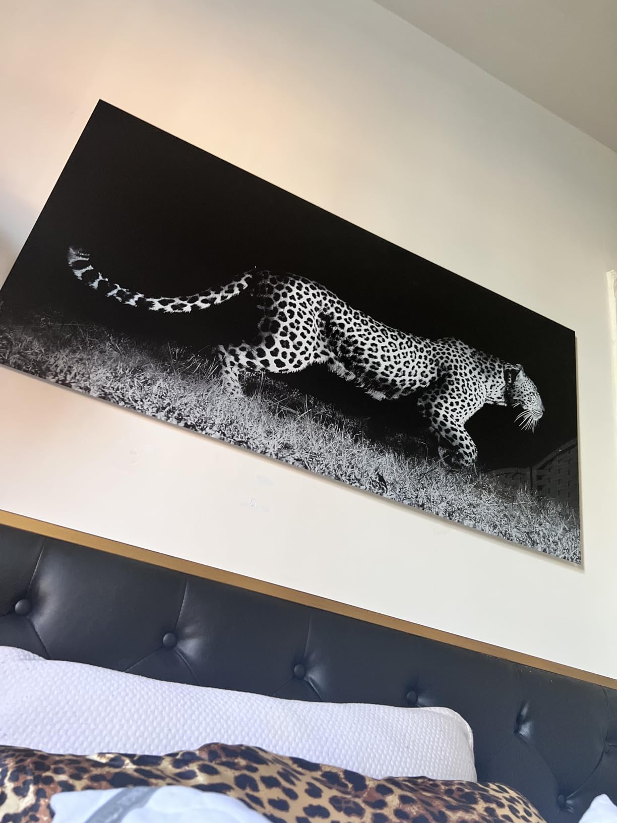 Empire Art Direct TMP-EAD3674-2448 Fearless 1 Frameless Tempered Glass Leopard Wall Art Ready to Hang, 24