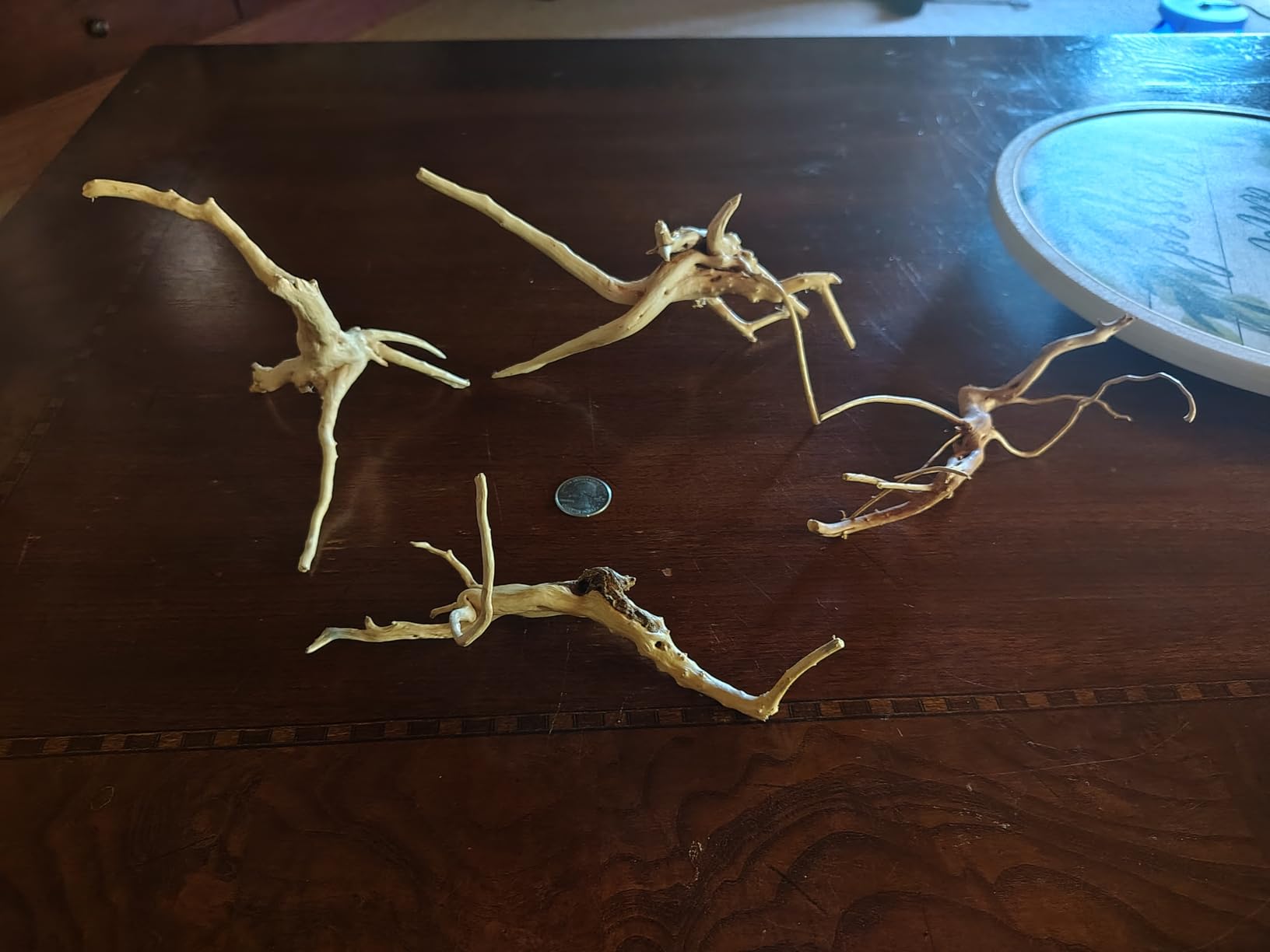 emours Natural Driftwood Vine Branches Reptiles Aquarium Decoration Assorted Sizes,Small,4 Pieces customer photo 1