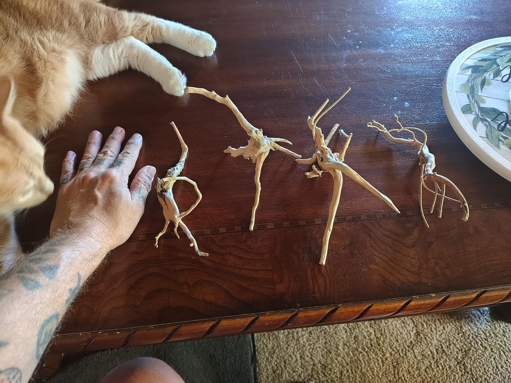emours Natural Driftwood Vine Branches Reptiles Aquarium Decoration Assorted Sizes,Small,4 Pieces customer photo 2