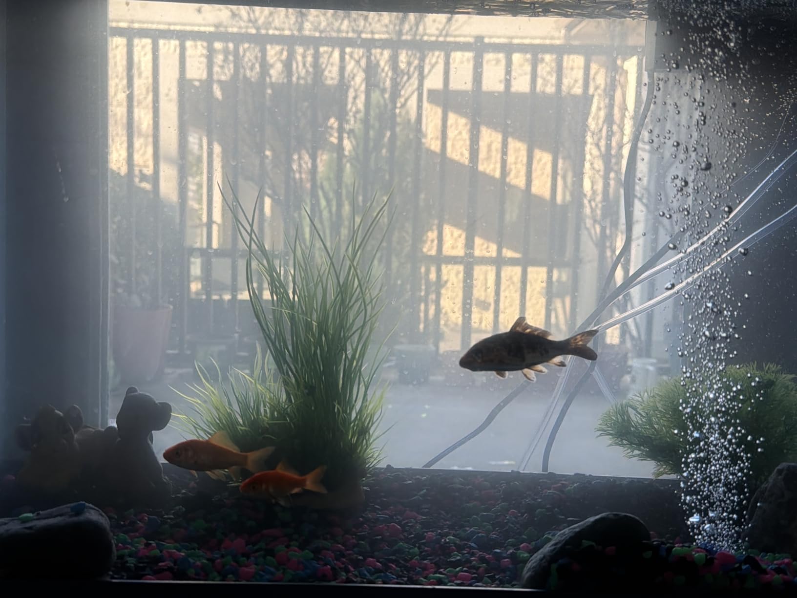 Pawfly Aquarium 15-40 GPH Compact Air Pump Quiet Oxygen Aerator Pump with Air Stone/Nano Bio Sponge Filter Airline Tubing and Check Valve Accessories for 3-20 Gallon Buckets and Fish Tanks customer photo 1