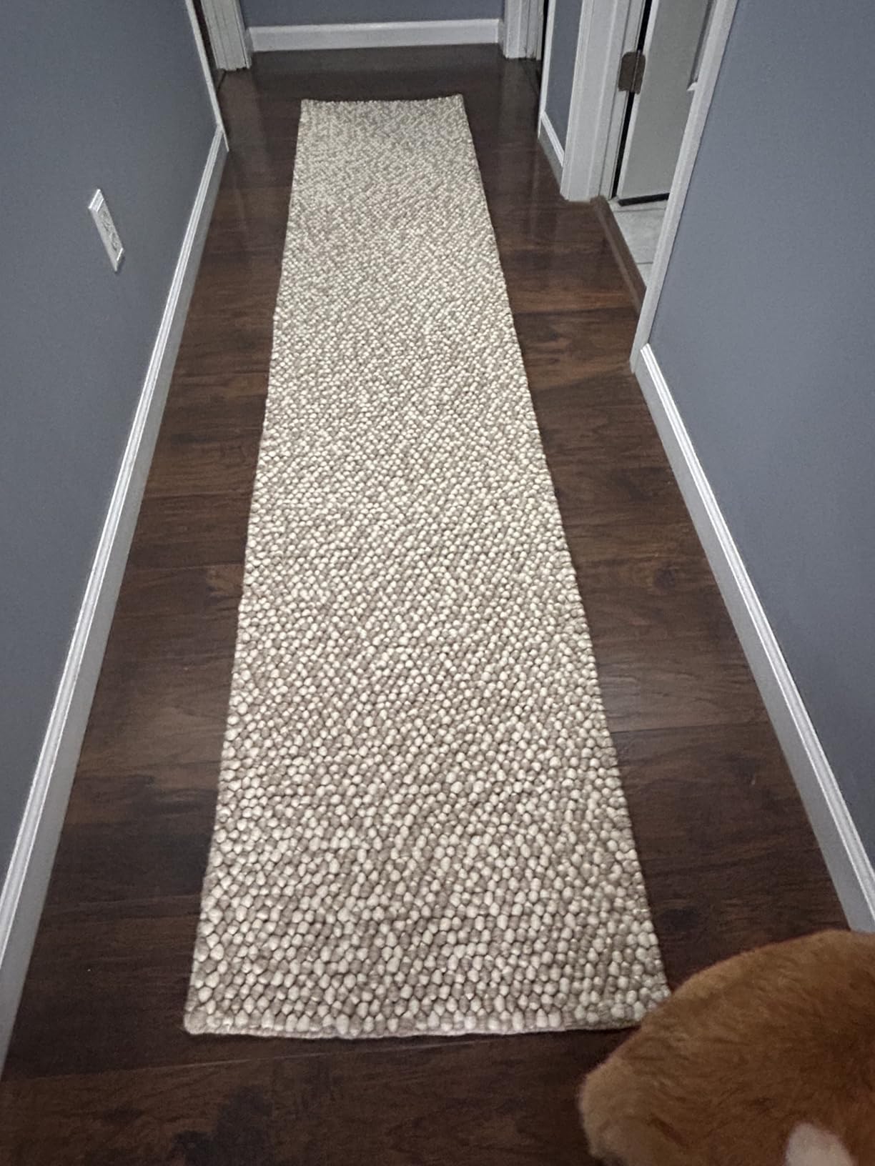 SAFAVIEH Area Rug 9x12 - Natura Collection - Large - Ivory, Handmade Wool Blend, Textured Design, Ideal for Living Room, Bedroom, Dining Space (NAT620A) customer photo 2