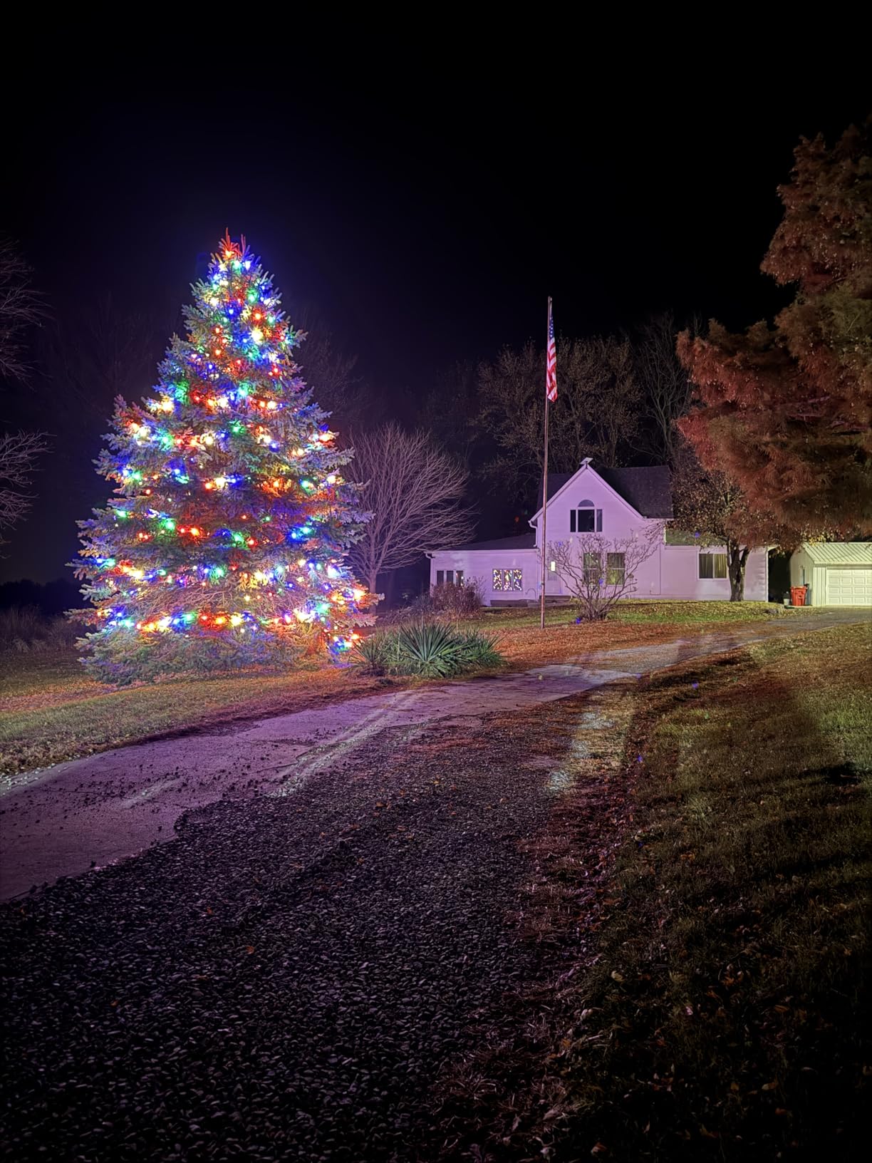 Wintergreen Lighting 25 C9 OptiCore LED Commercial Outdoor Christmas Lights - Heavy Duty Christmas String Lights; Green Wire (25 ft, Cool White) customer photo 2