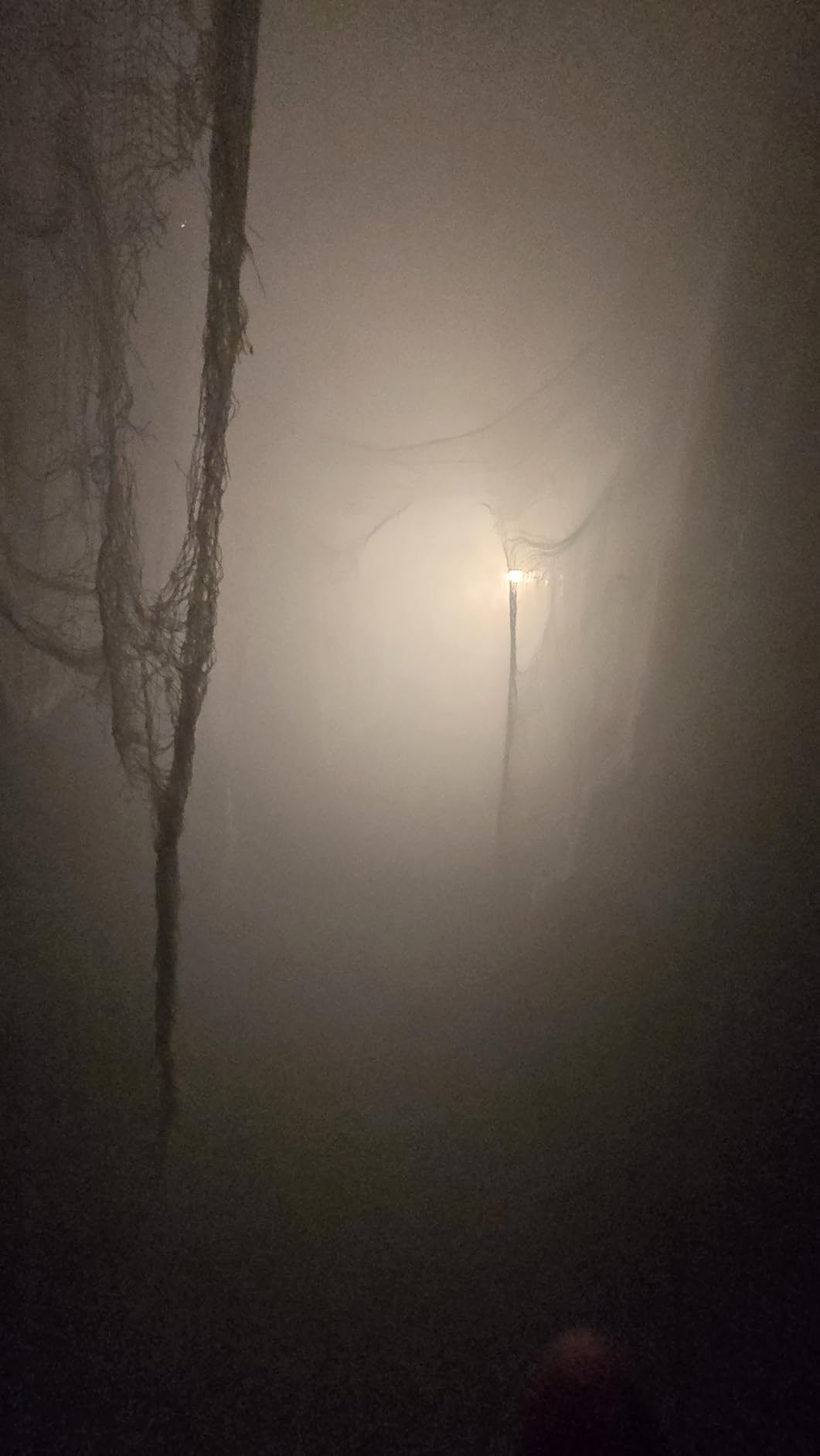 Froggy's Fog Titan 1200 Fog Machine, High Output Indoor Fogger Machine with 20,000 CFM customer photo 2