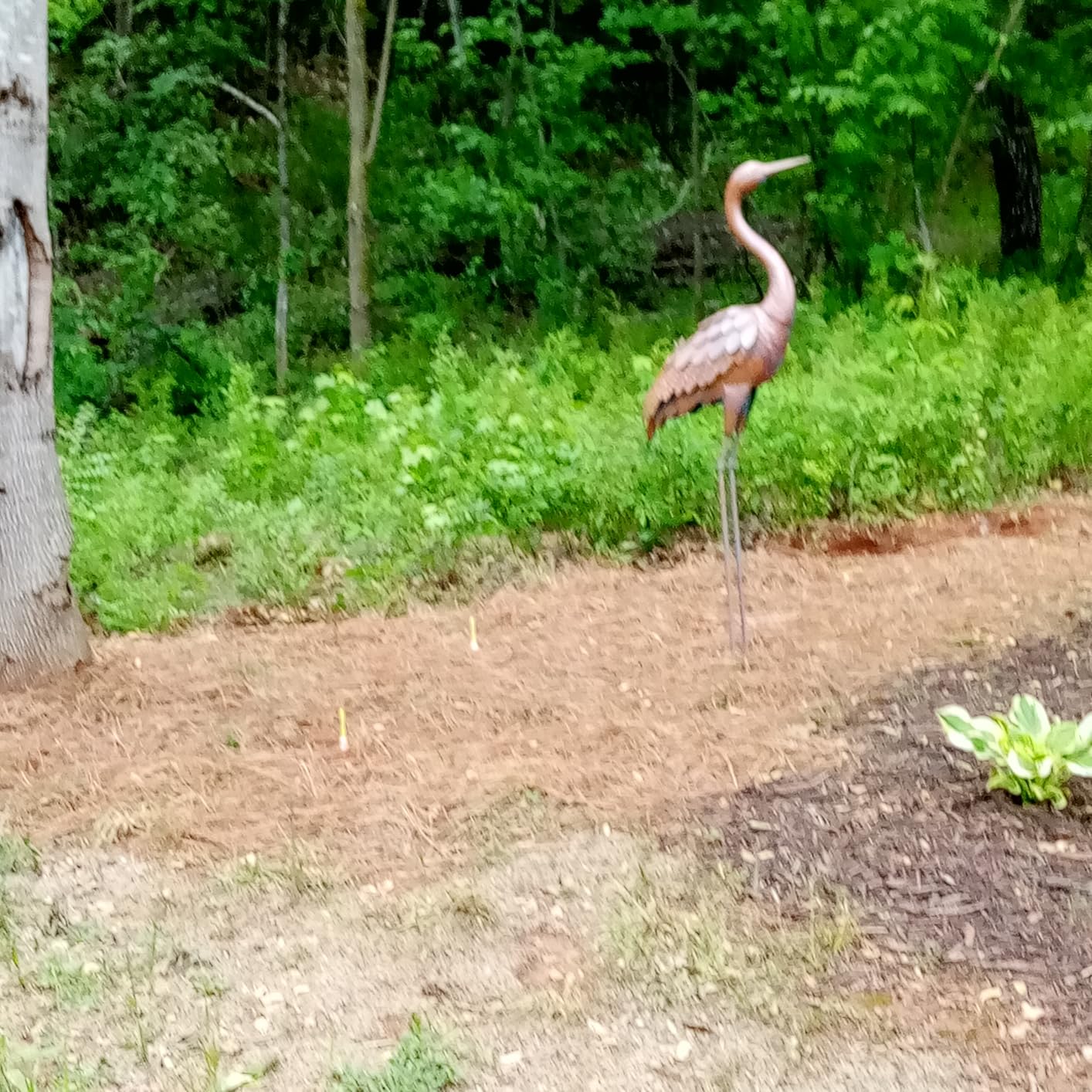 chisheen Outdoor Garden Crane Statues and Sculptures Metal Yard Art Statue for Garden Decoration Large Size customer photo 1