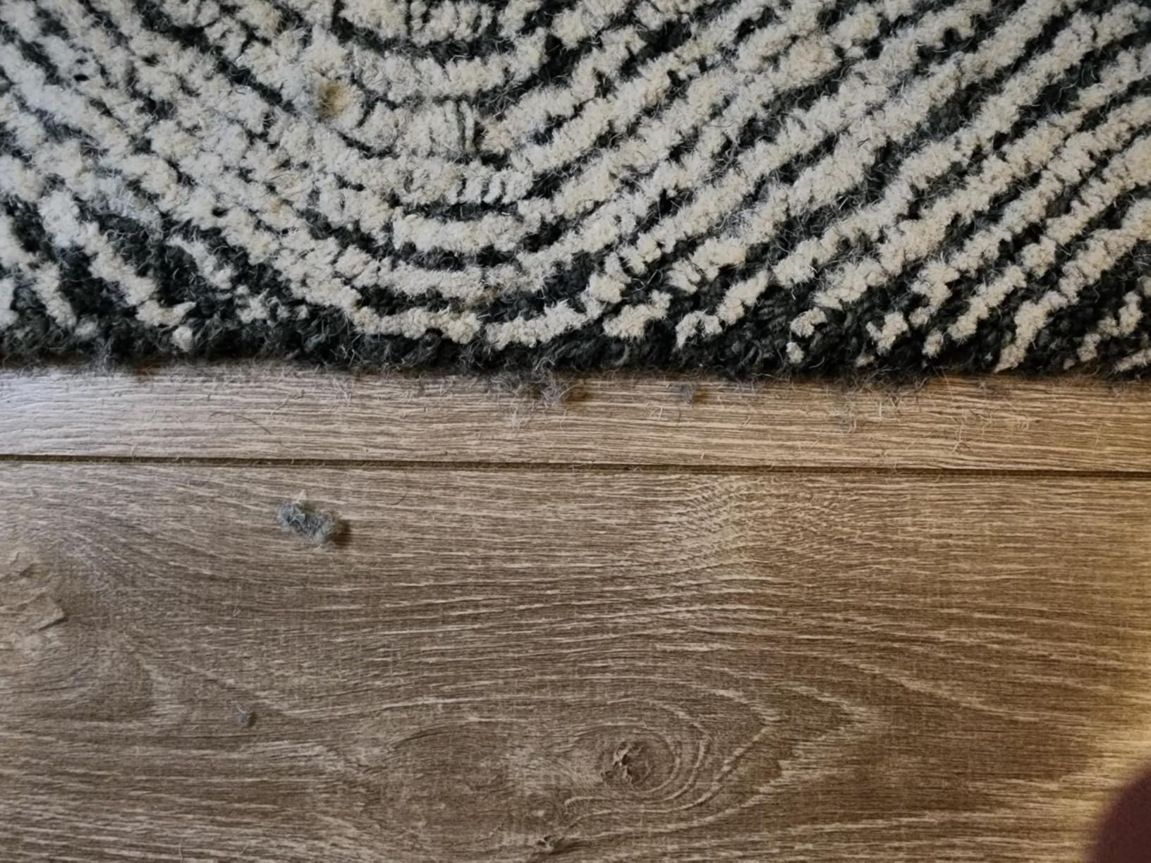 SAFAVIEH Area Rug 8x10 - Abstract Collection - Large - Ivory & Charcoal, Handmade Wool, Ideal for Living Room, Bedroom, Office, Dining Space customer photo 2