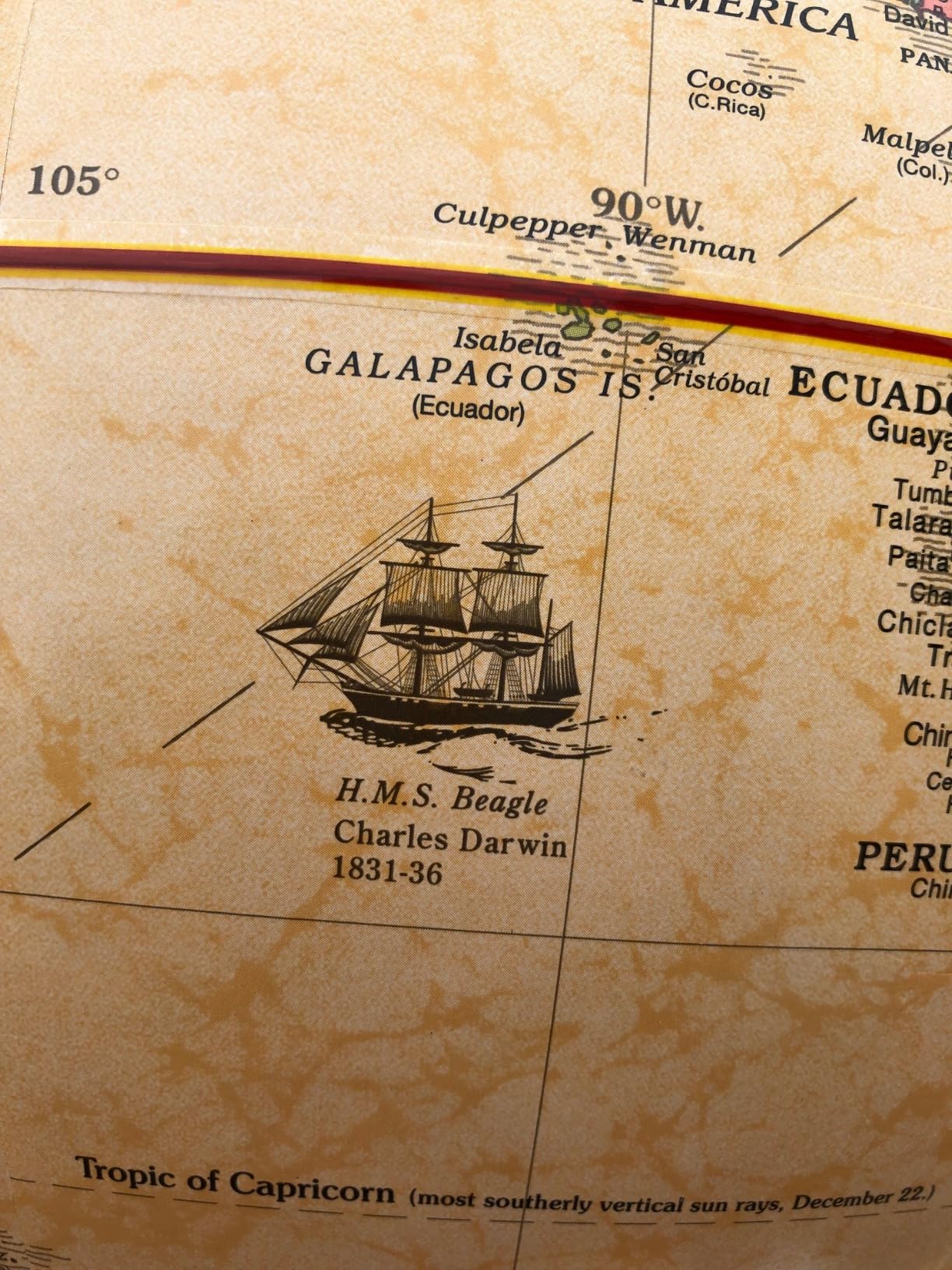 Replogle Eureka 16