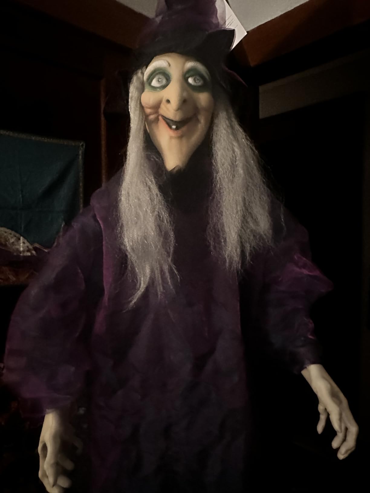 Besti Life Size Hanging Witch Halloween Decor (71 Inches) | Sound & Touch Activated Talking Halloween Decorations | Witch Props Excellent Choice for Haunted House | Indoor & Outdoor Animated Prop customer photo 1