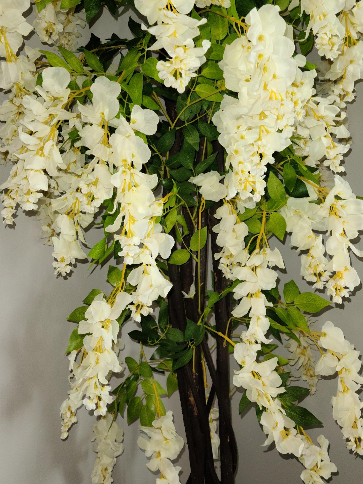 AMERIQUE Gorgeous & Unique 5 Feet Blooming Artificial Silk Creamy White Wisteria Tree with Twisted Trunks, in Nursery Pot, Feel Real Technology customer photo 1