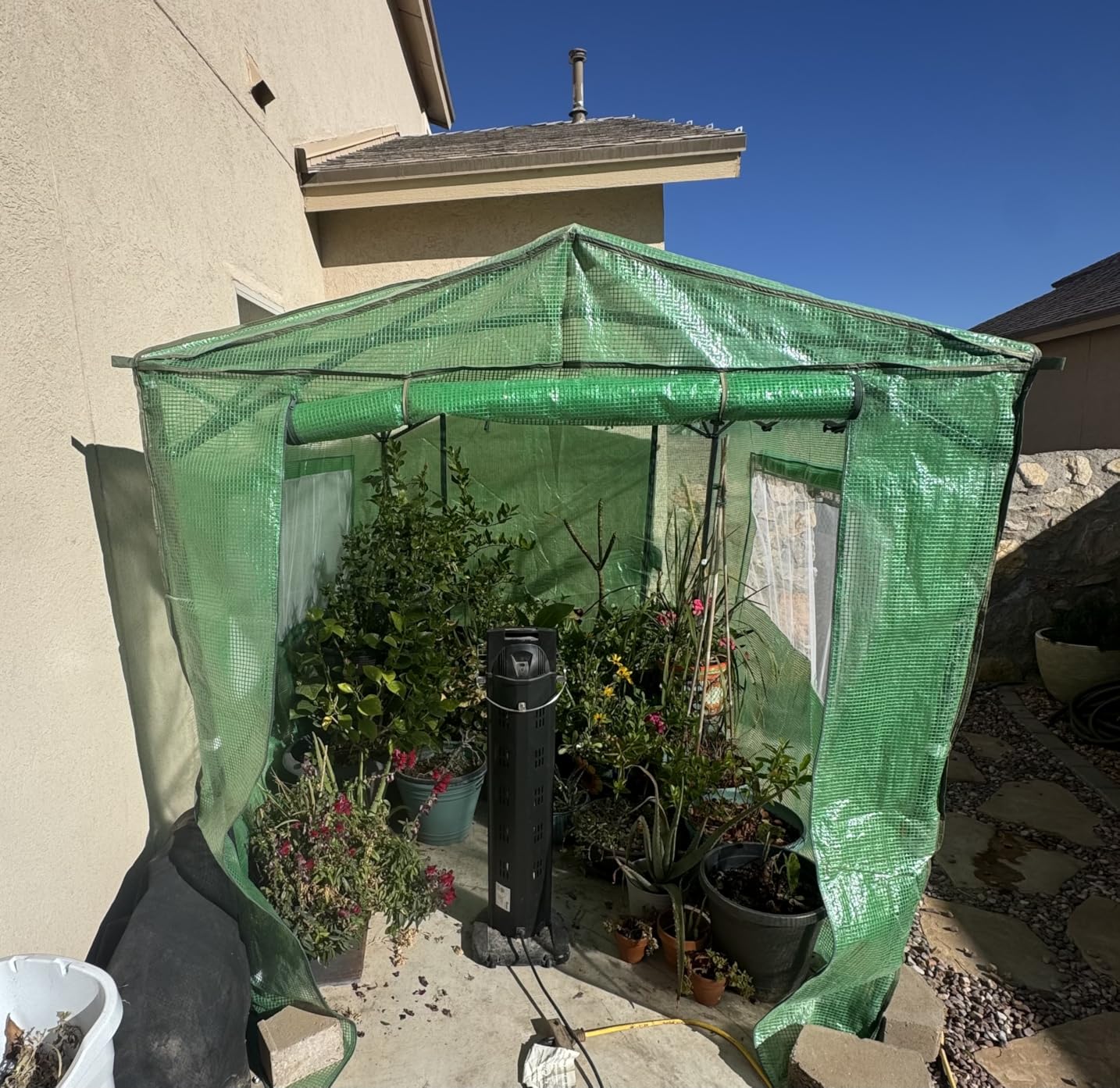 EAGLE PEAK 8x6 Portable Walk in Greenhouse, Pop Up Indoor Outdoor Greenhouse, Green House Kit with Zippered Roll-Up Doors and Windows, PE Cover, Clear/Green customer photo 2