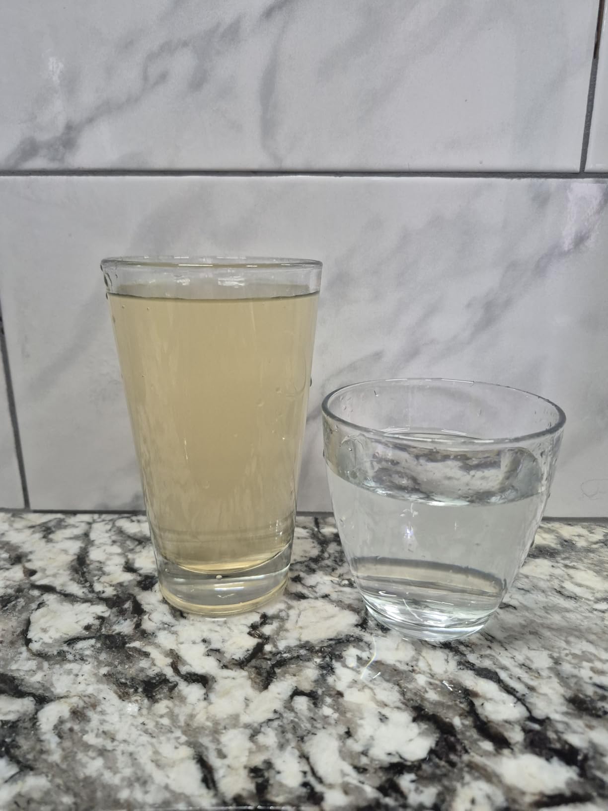 PRO+AQUA Heavy Duty Whole House Well Water Filter System - Industrial Grade for Heavy Contamination customer photo 2