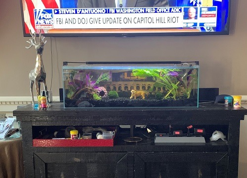 LIFEGARD Low Iron Ultra Clear Crystal Bookshelf Aquarium with Foam Leveling Mat - Rimless Aquariums with 45-Degree Beveled Edge, Peninsula Style - for Fish and Corals - 22 Gallon Capacity customer photo 2