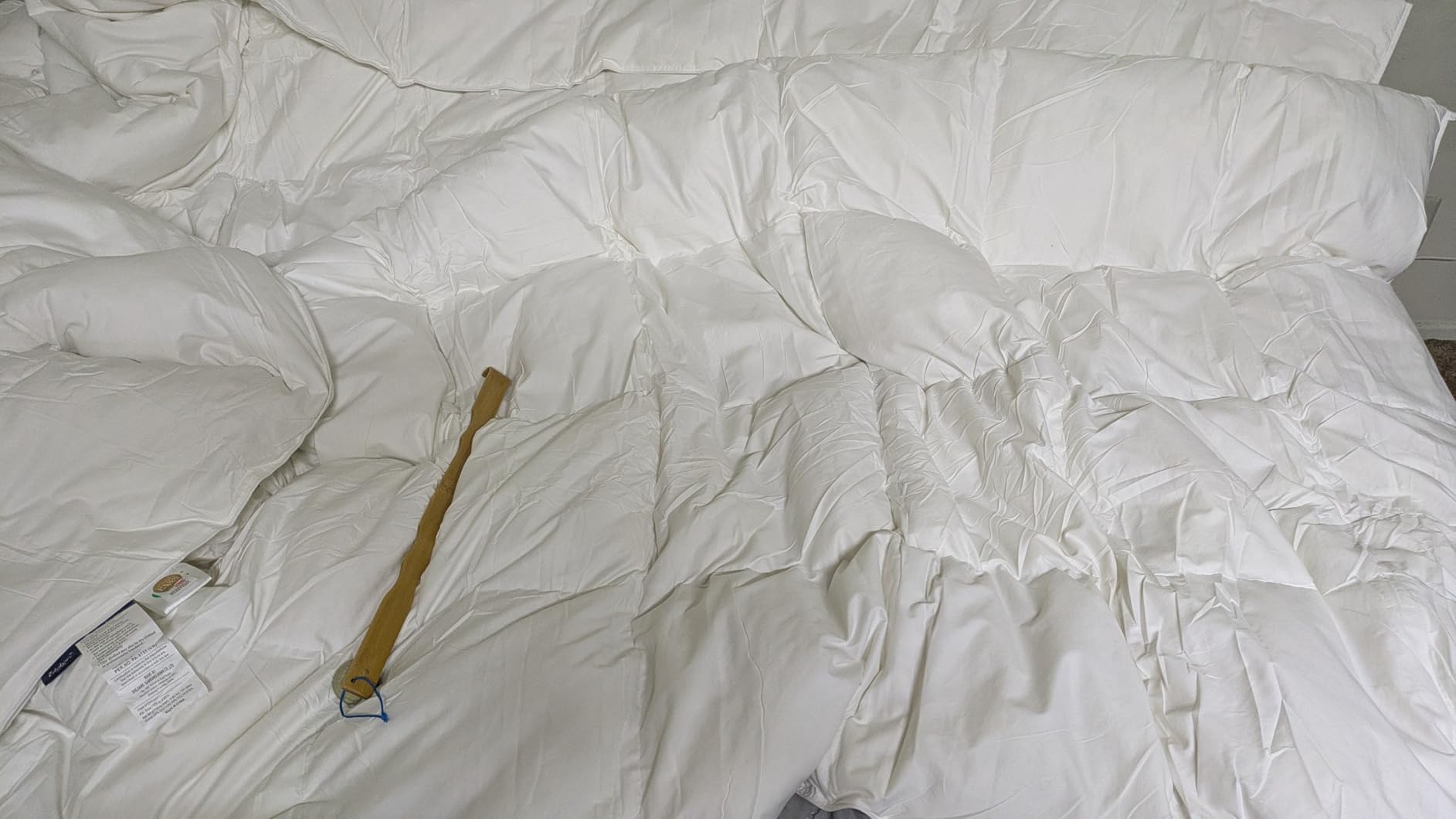Globon Goose Down Comforter King Size, 800 Fill Power All Seasons Luxury Duvet Insert, Ultra Soft 420 Thread Count Noiseless Shell, Medium Weight with 8 Corner Tabs, White customer photo 1