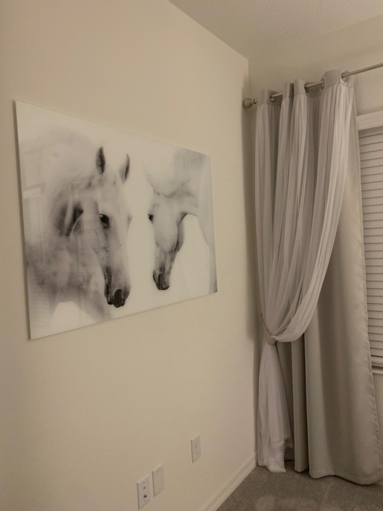 Empire Art Direct White Horse Wall Art Graphic Printed on Frameless Free Floating Tempered Glass Panel Ready to Hang, Living Room, Bedroom & Office, 32