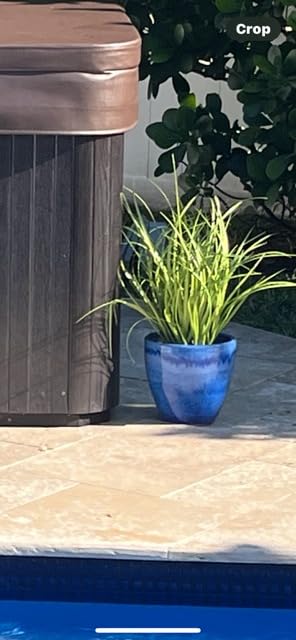 Sunnydaze Large Ceramic Plant Pot - Round Outdoor Glazed Ceramic Planter Pot with Drainage - Resort - Imperial Blue - 13.5