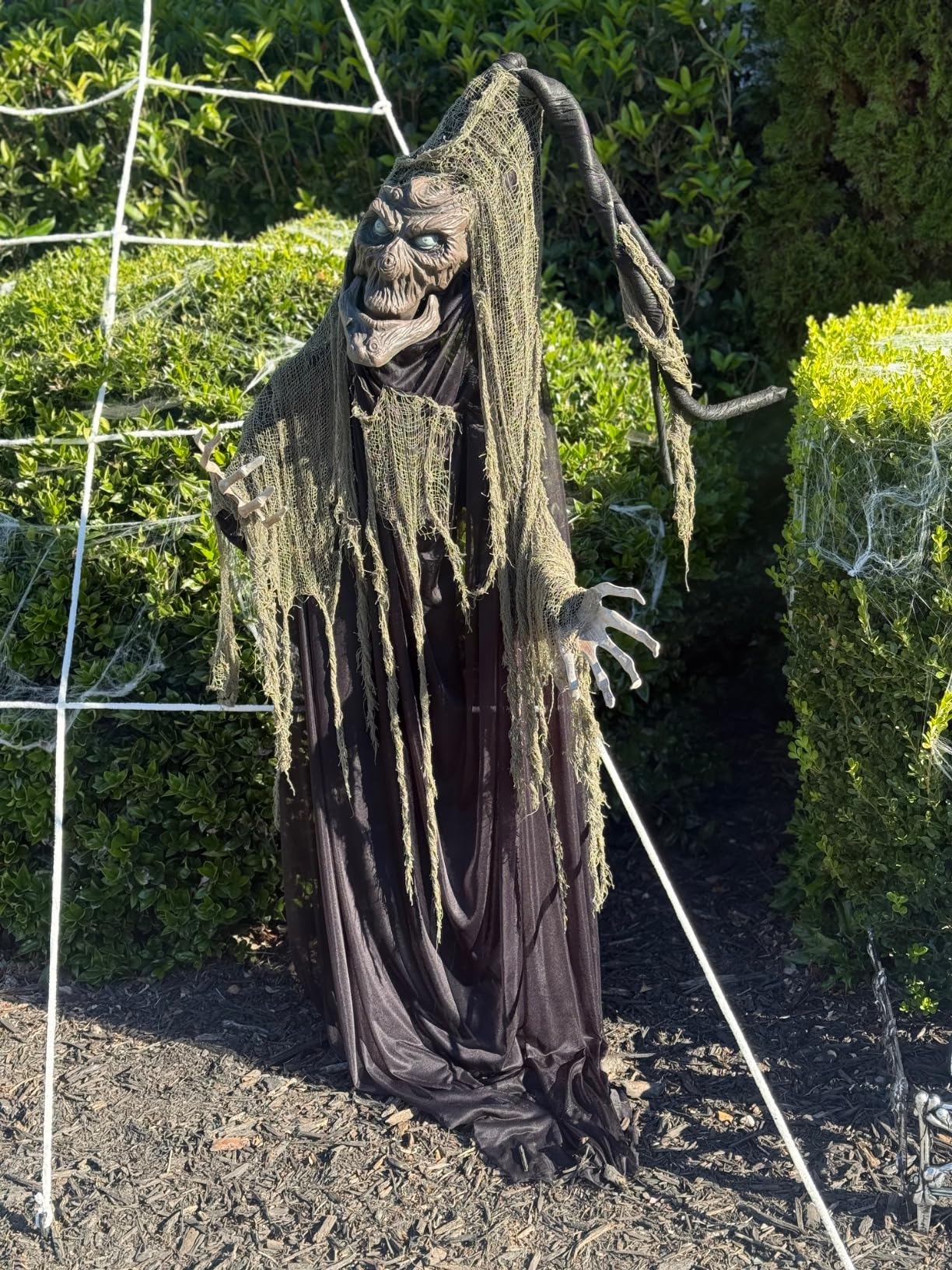 Haunted Hill Farm Life-Size Scary Talking Tree Man Halloween Animatronic with Touch Activated Lights and Sound, Battery Operated Indoor or Covered Outdoor Halloween Decorations, Creepy Fright Props customer photo 2