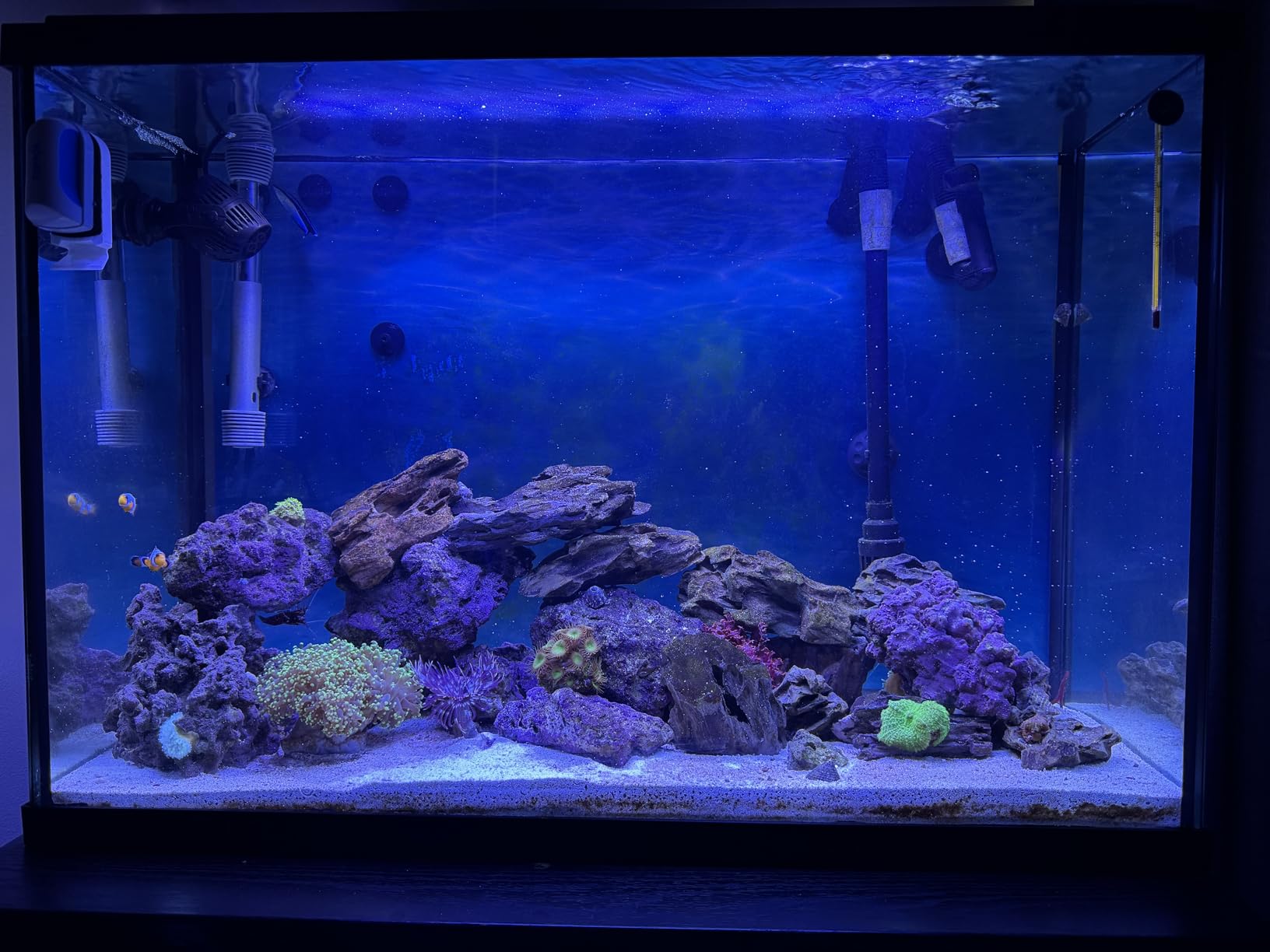 AquaIllumination AI Nero 3 Submersible Wavemaker Pump with Fish Guard customer photo 1